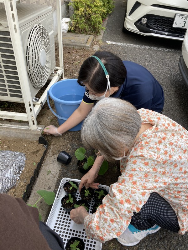 吉野町菜園