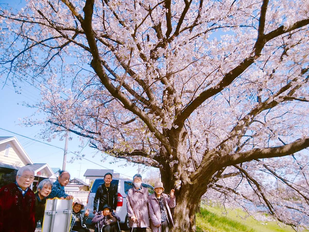 春は桜の下で記念撮影