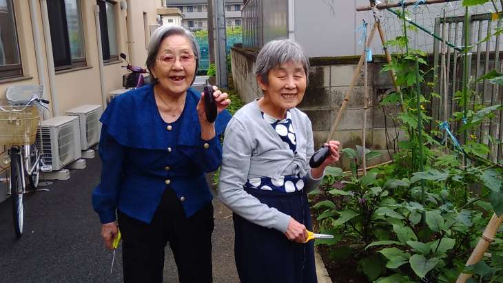 畑が併設されています。