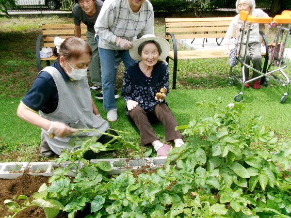 じゃがいも収穫のご様子